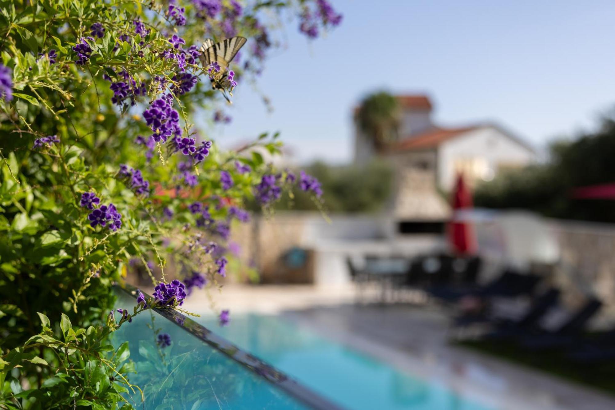 Villa Aqua Жаборич Экстерьер фото